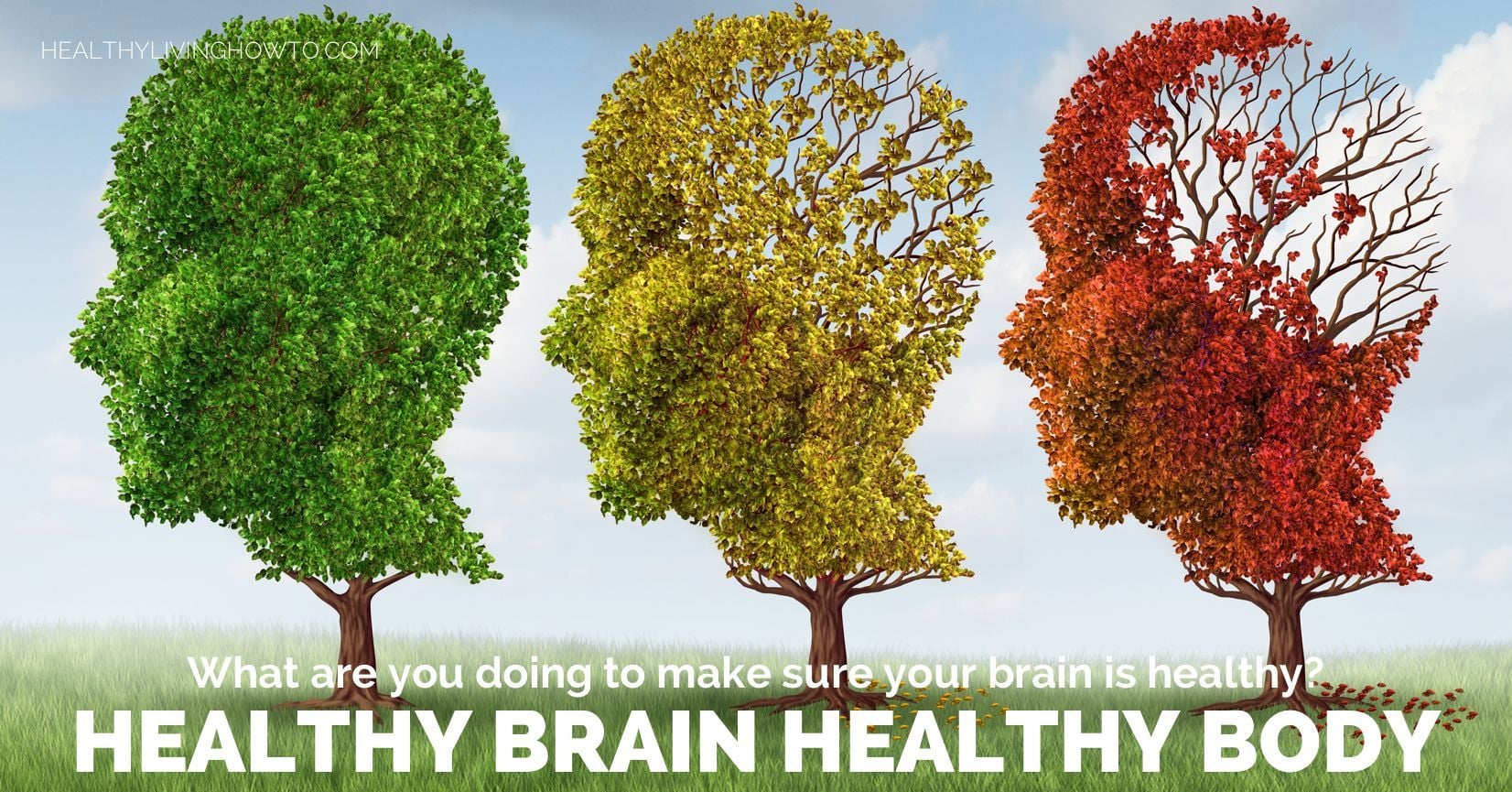 Prebiotic Nitrate from leafy greens and beets and good for your brain